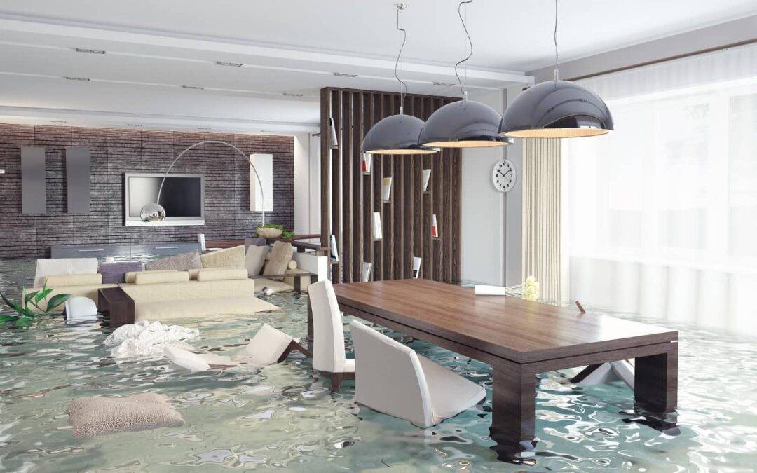 The Importance of Immediate Action after Water Damage in Southern Florida