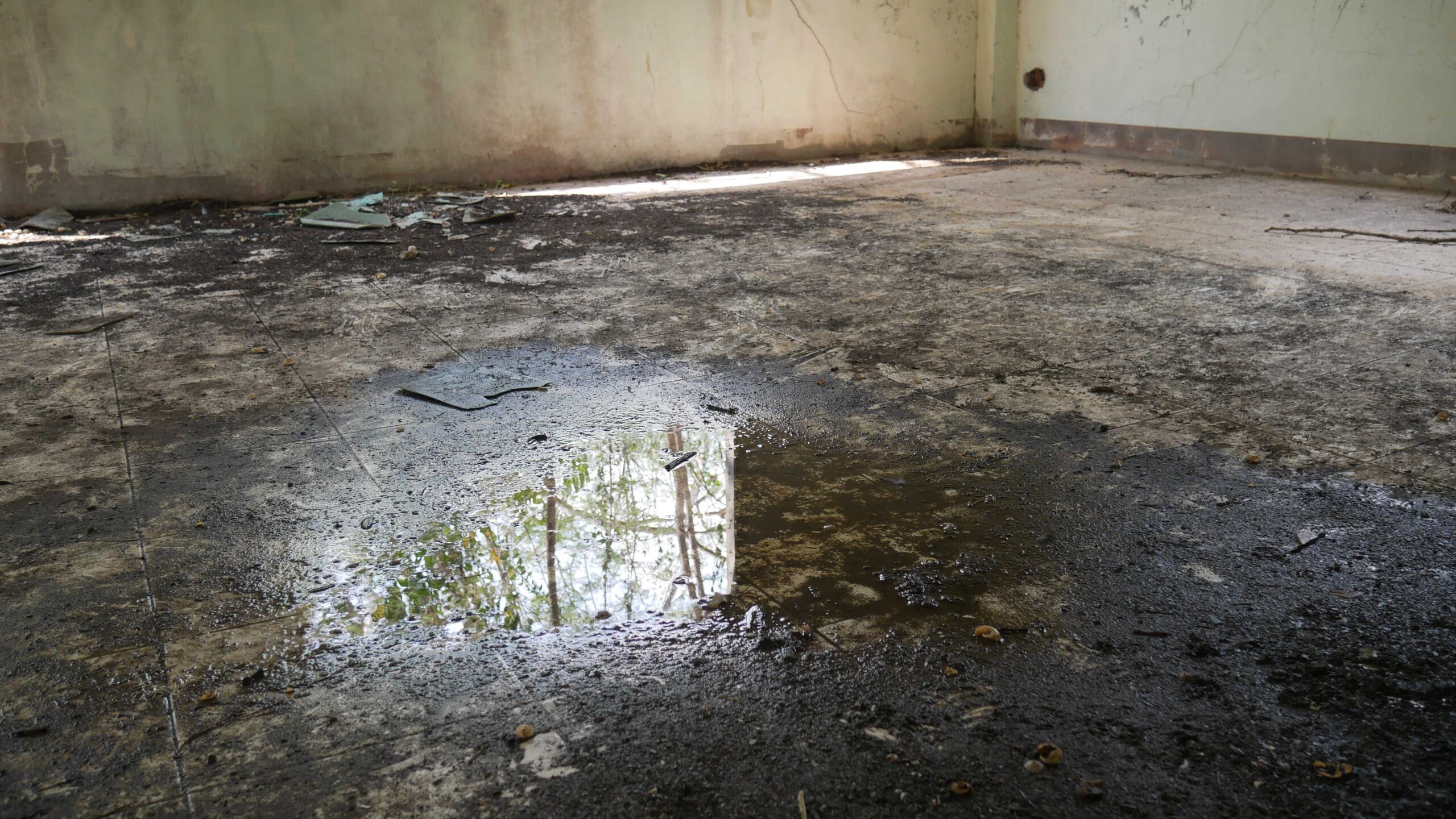 Water Mitigation vs Water Restoration: What’s the Difference?