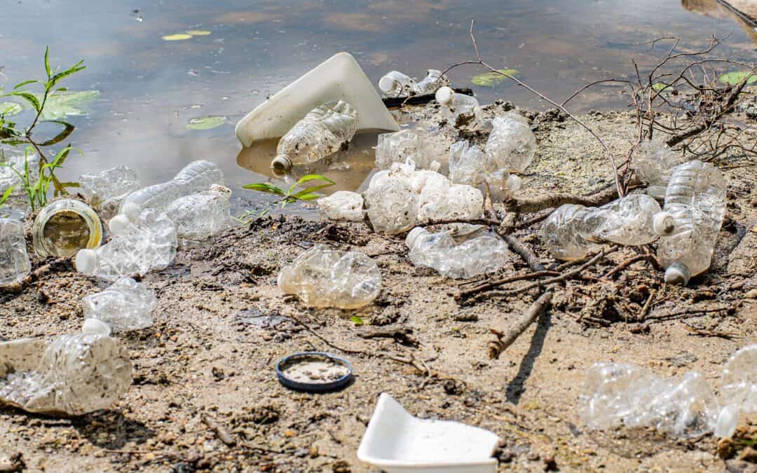 Common Types of Biohazard Cleaning and When Professional Help Is Needed