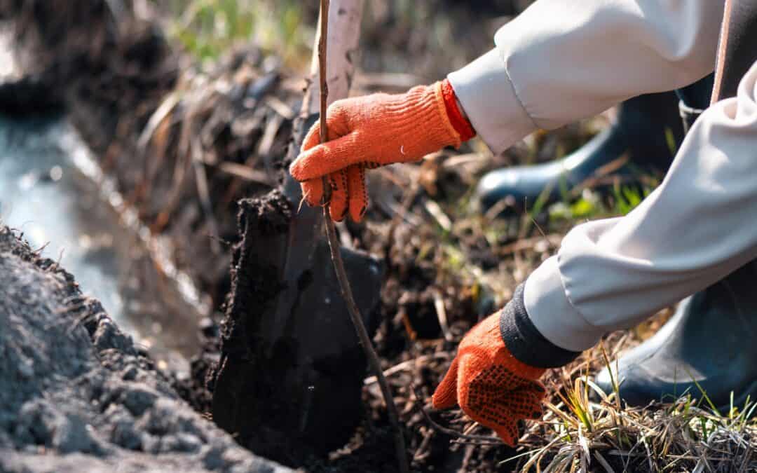 What Is Biowaste and When Should Restoration Professionals Handle It?