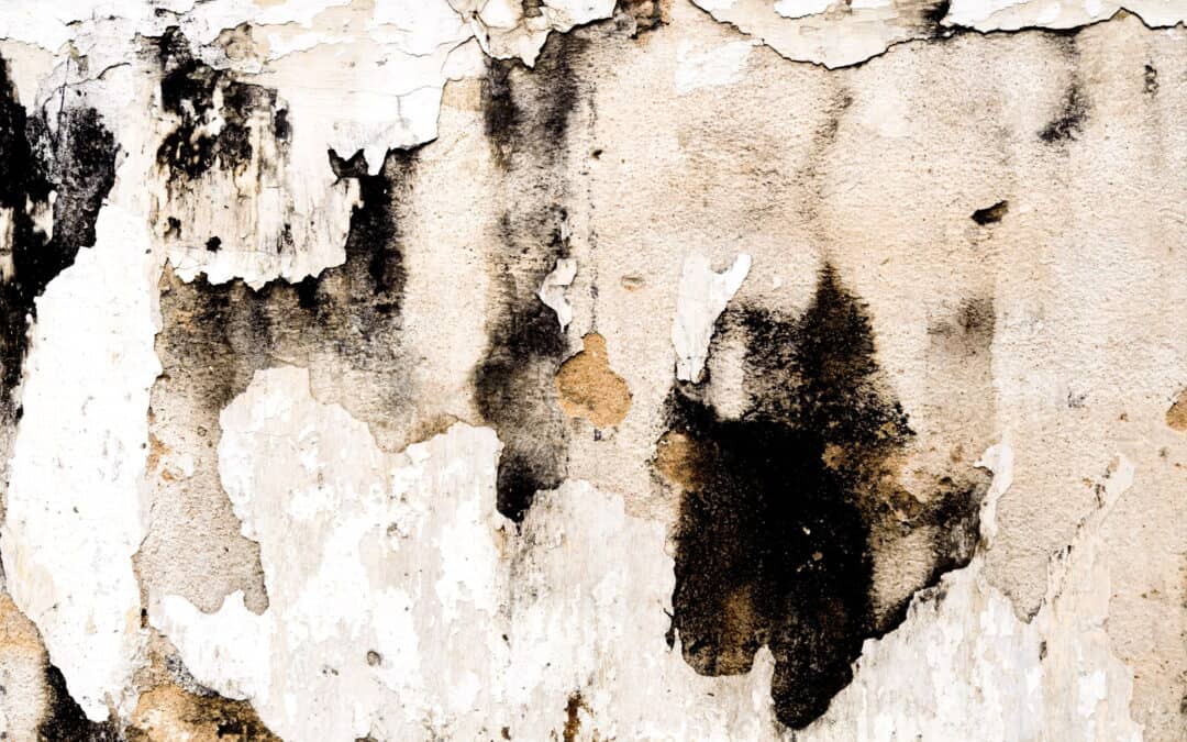 What Is Soot and Is It Dangerous? What Homeowners Need to Know